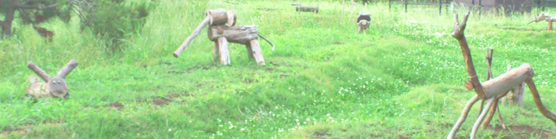 自然な療法で体とこころを整える　ねころびより　のご案内